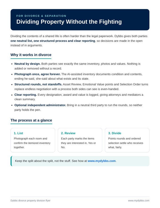 Cover of the DYBBS divorce property division flyer